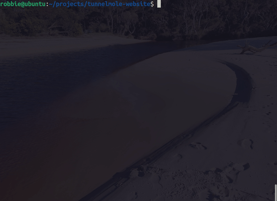 Port Forwarding Made Simple: How to Use Tunnelmole for Secure, Developer-Friendly Port Forwarding